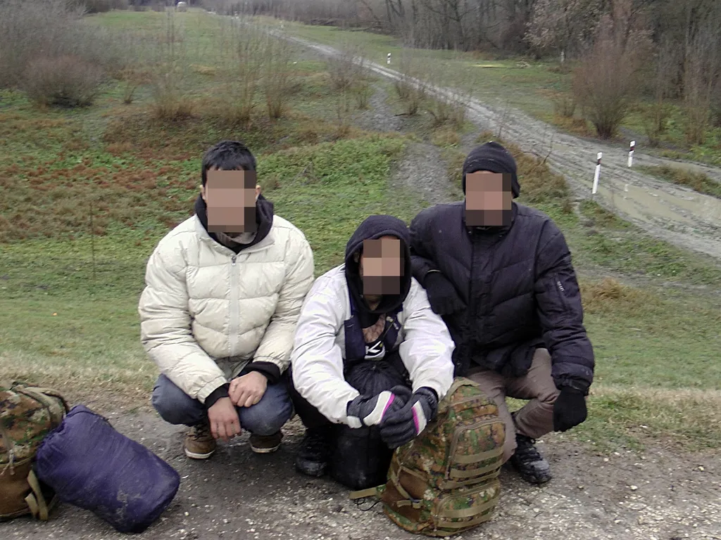 migráns, Bács-Kiskun megye, határ, 2019. december 25., 131 migráns 