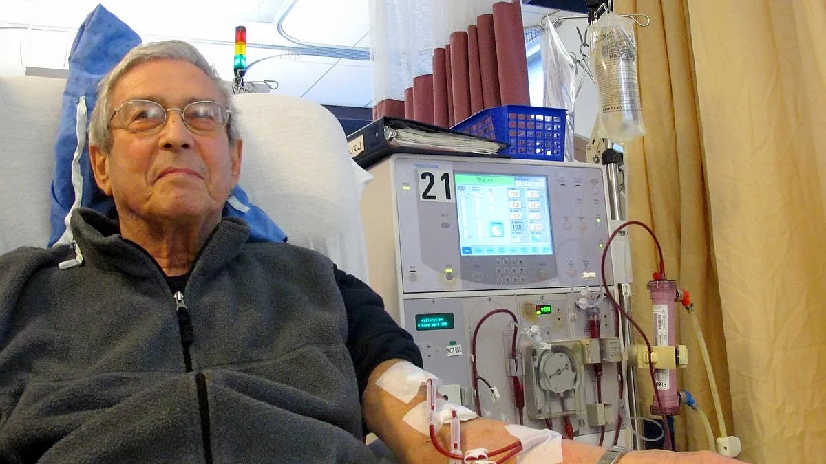 Ma van a vese világnapja - ORIGO