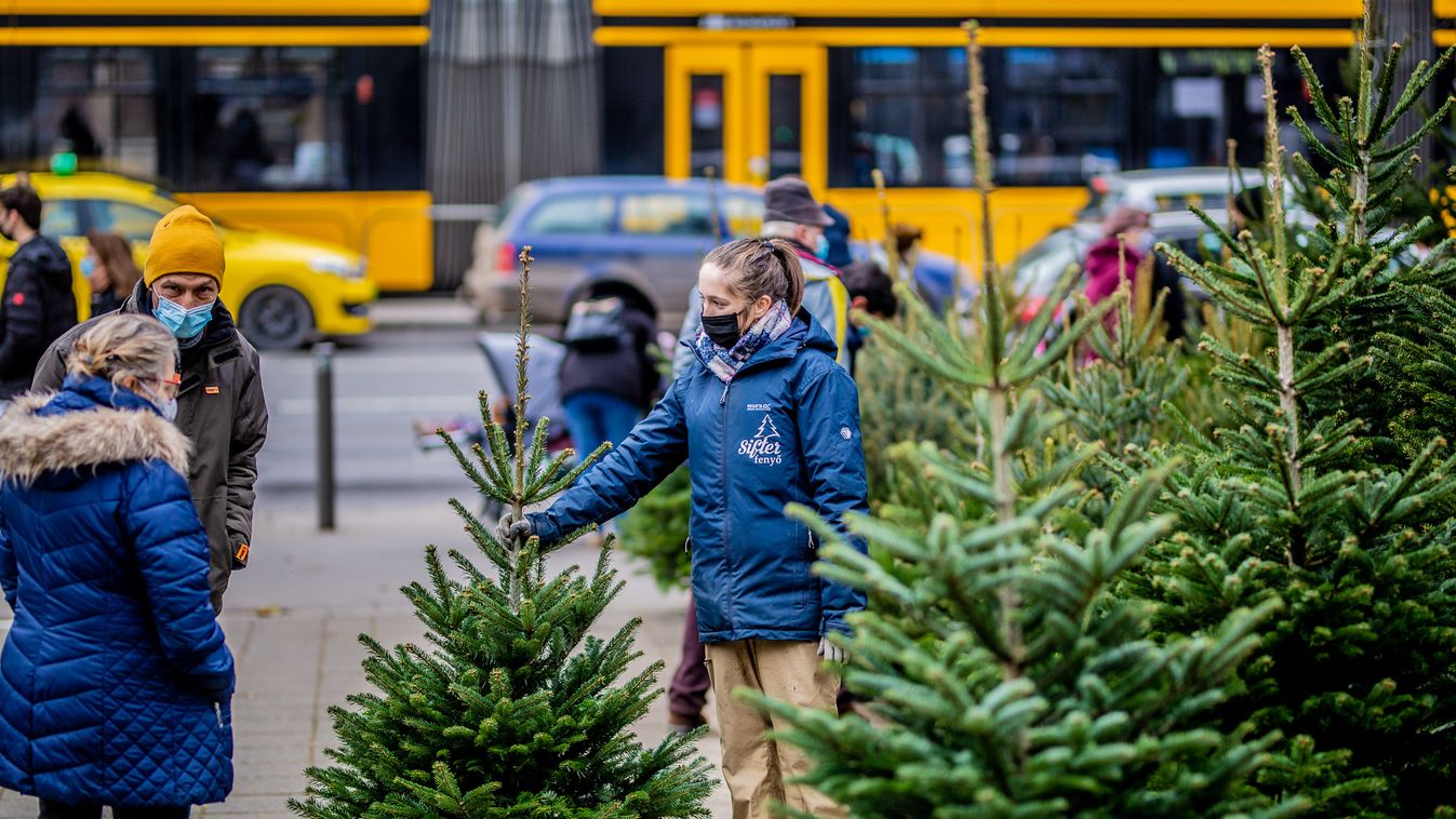 Karácsonyfa vásárlók és árusok Budapest, 2020 december 21. fenyőfa, ünnep, maszk, koronavírus, vírus, járvány, maszk, arcmaszk, védőmaszk, védőfelszerelés 