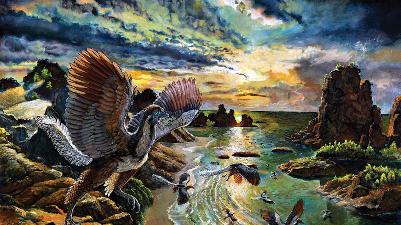 Archaeopteryx albersdoerferi 