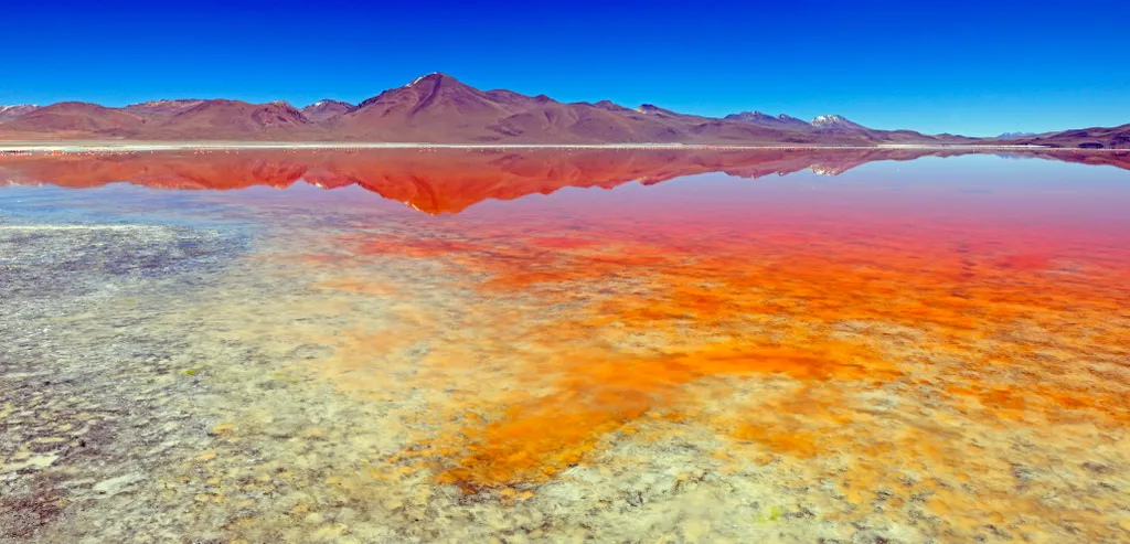 Laguna Colorada Bolívia 