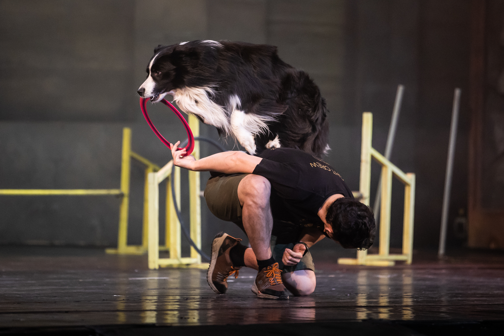 Ebugatta!,Operettszínház, Vidd magaddal a kutyádat a munkahelyre, kezdeményezés, színészek, színház, 2022.06.26. 