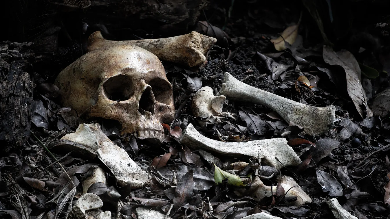 Borzalom: 59 holttestet találtak egy titkos temetőben csontváz erdő koponya 