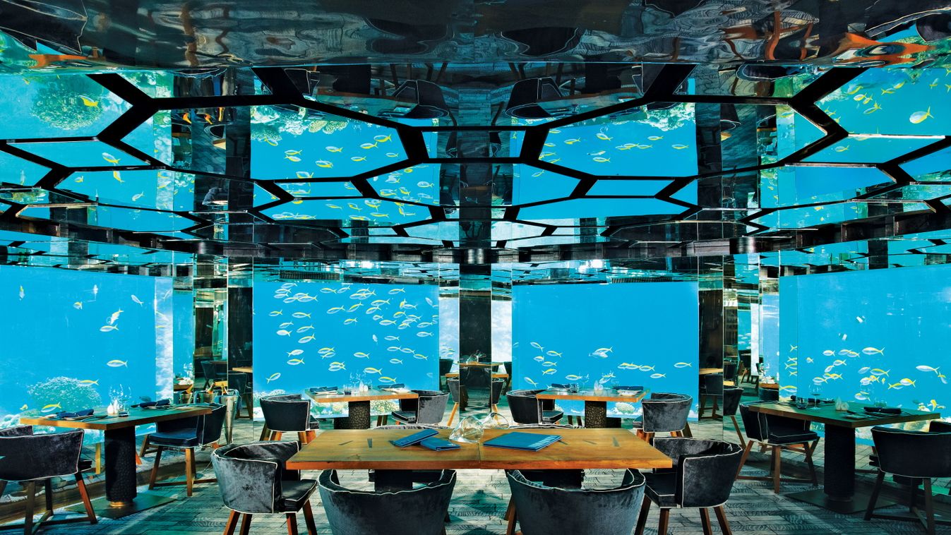 víz alatti étterem 