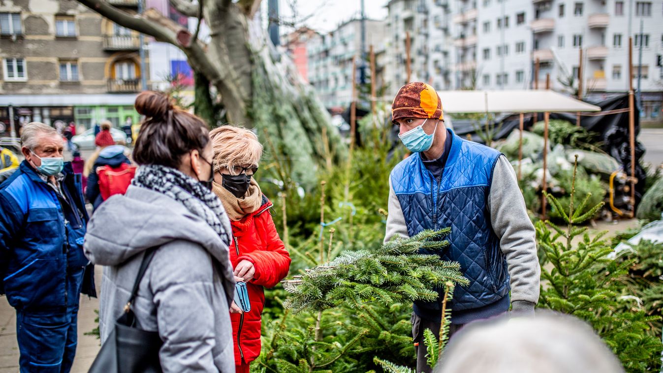 Karácsonyfa vásárlók és árusok Budapest, 2020 december 21. fenyőfa, ünnep, maszk, koronavírus, vírus, járvány, maszk, arcmaszk, védőmaszk, védőfelszerelés 