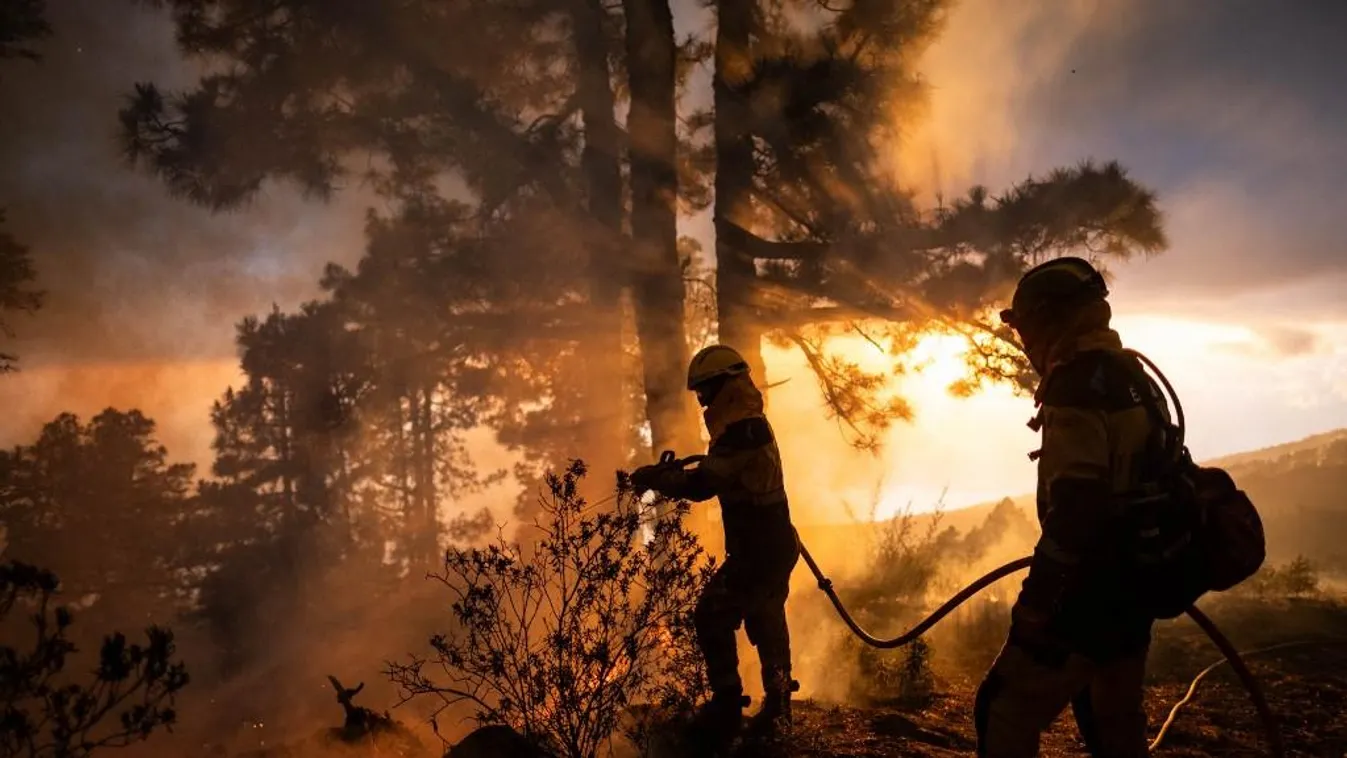 Forest fires in La Palma 4600 hectares,Burn,Canary Islands,fire,forest,Forest fire,Forest Horizontal 