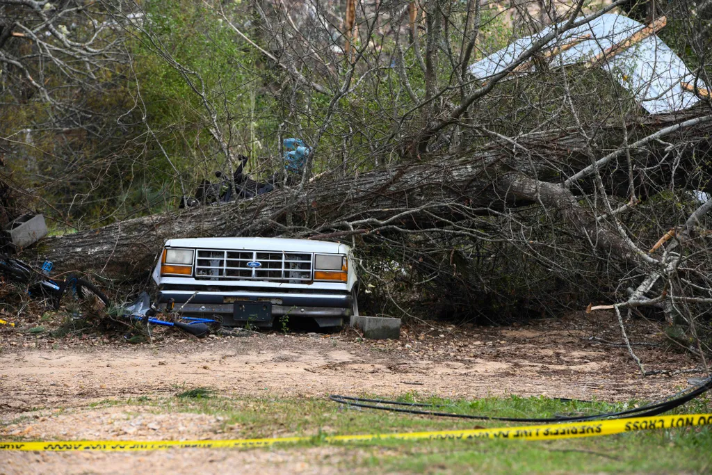 Beauregard, 2019. március 5.
Tornádó által kicsavart fa zuhant egy autóra az Alabama állambeli Beauregardban 2019. március 4-én, a vihar elvonulása utáni napon. A természeti katasztrófában legkevesebb huszonhárom ember életét vesztette, több mint negyven 