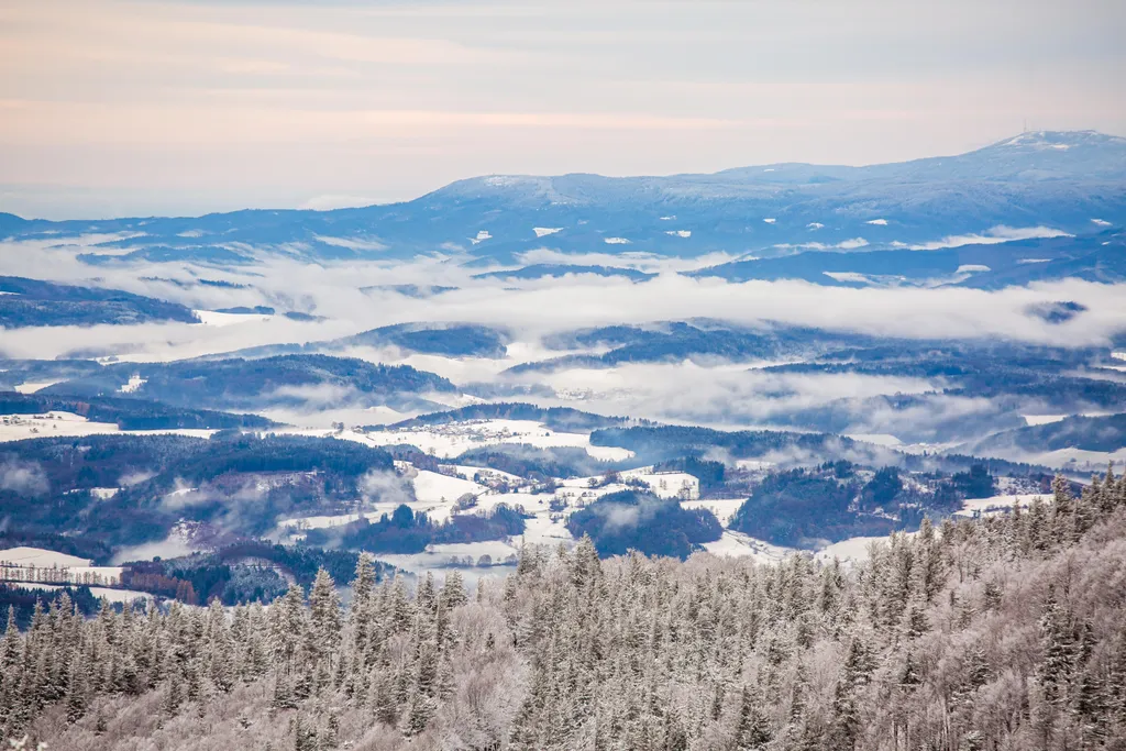 Winter weather in the Black Forest Weather nature Seasons Free time LSW SNOW WINTER Winter landscape Panorama 
