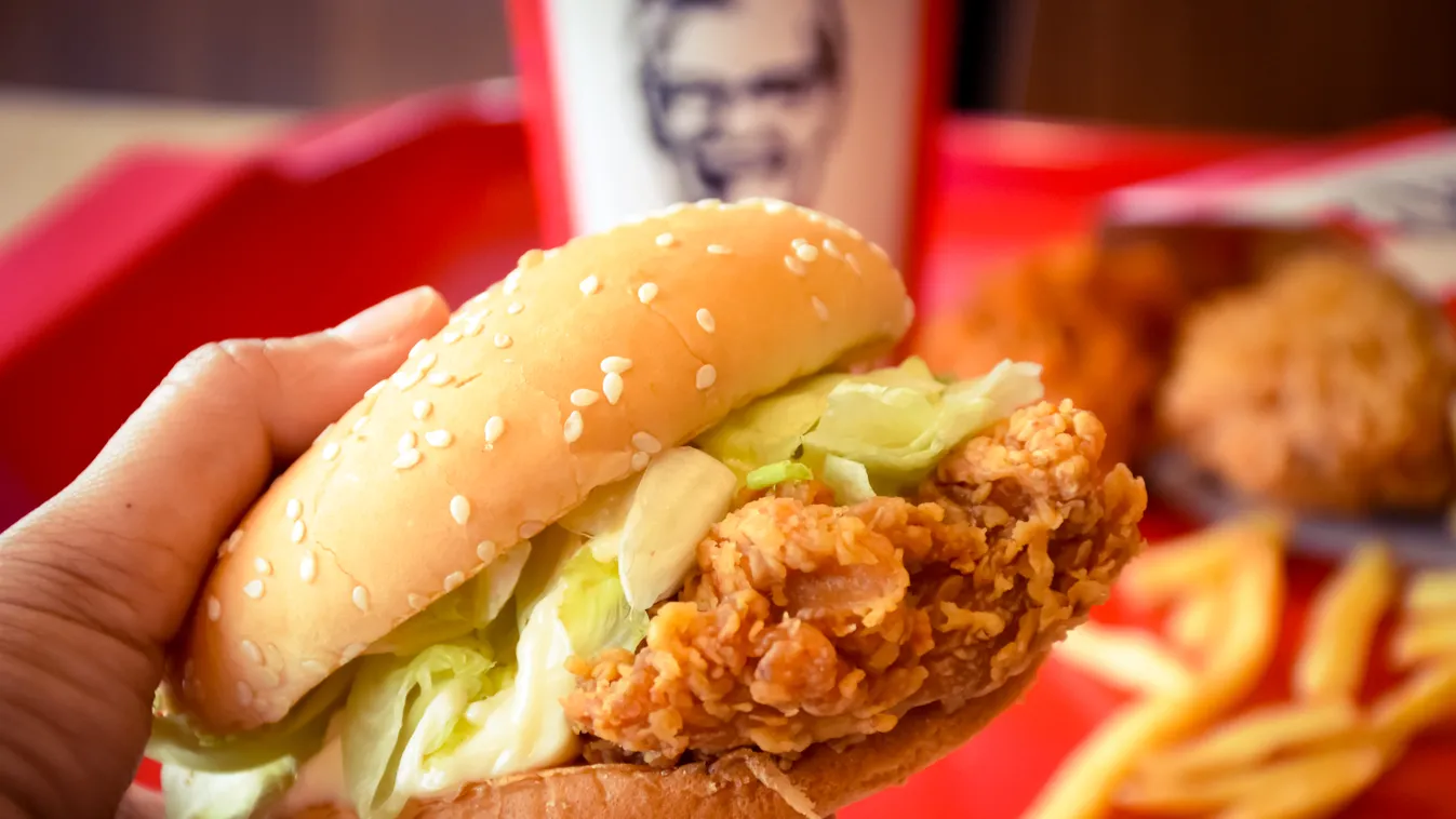 Tájföld KFC, KFC étterem, étterem, gyors, fast food, salátalevél, hamburger 