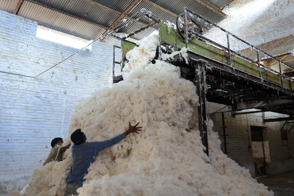 pamutszüret, pamut, cotton, cotton harvest, pamutszüret galéria,  COTTON INDUSTRY FACTORY INTERIOR VIEW 