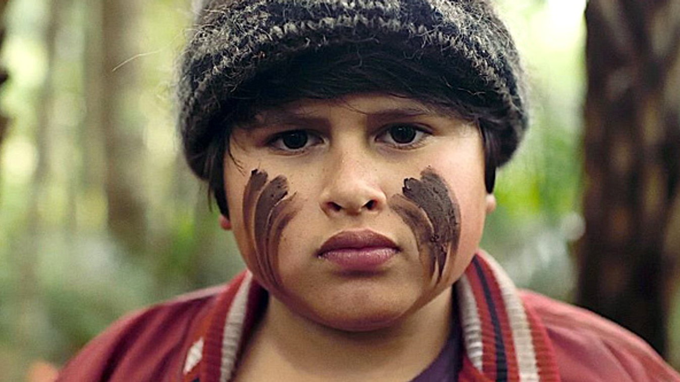 Hunt for the Wilderpeople 
