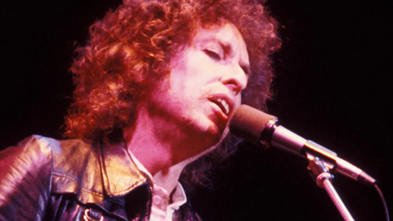 Bob Dylan, 1978, Párizs
