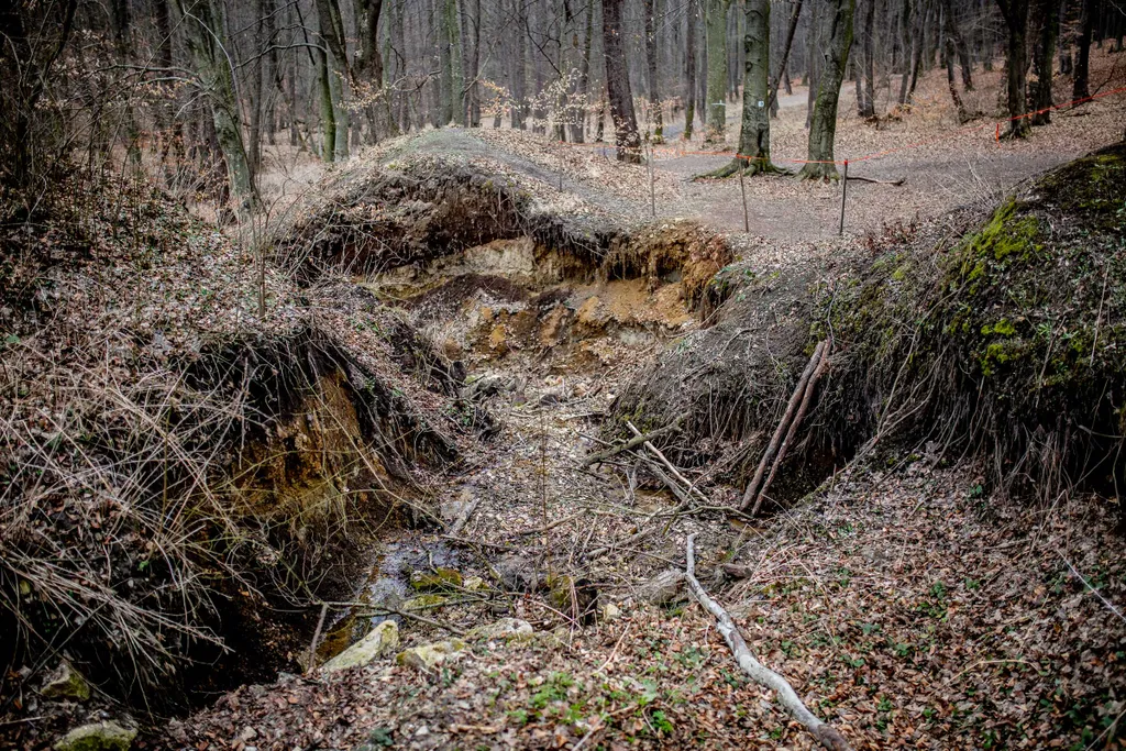 Hubertlaki-tó, kirándulás, túra, Bakony 