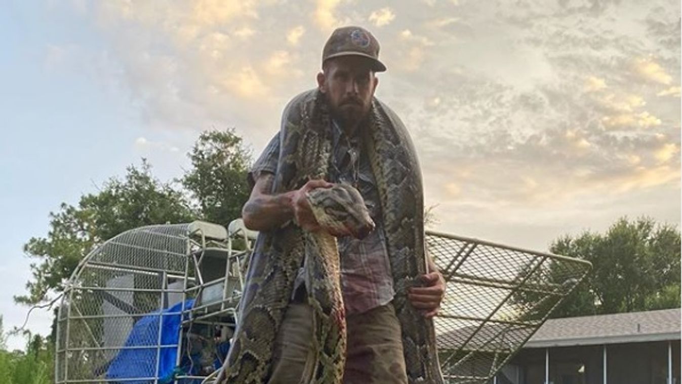 Mike Kimmel kígyóvadász piton Florida 