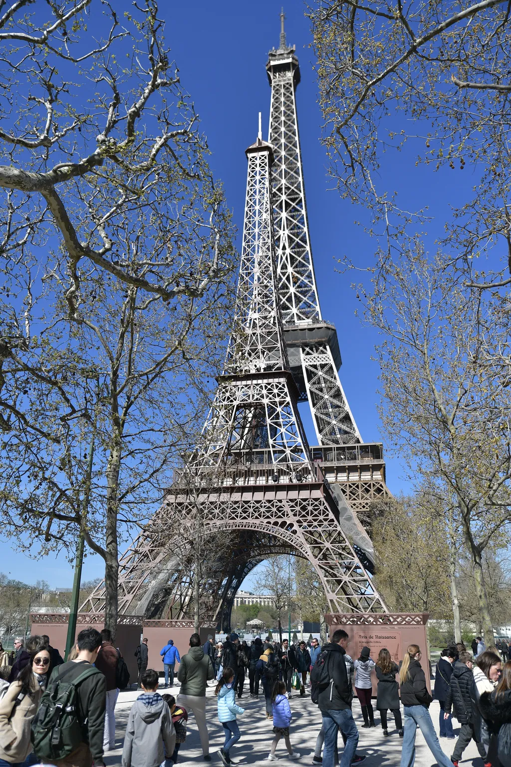 Eiffela 