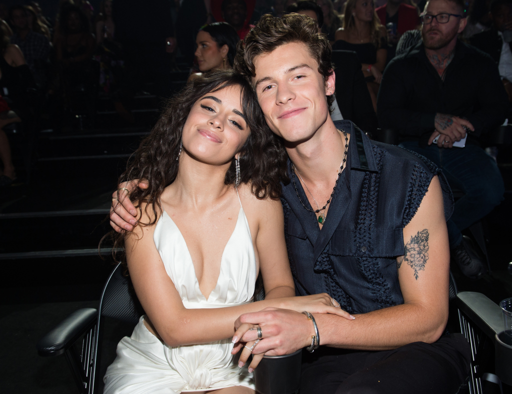 2019, MTV Video Music Awards, Shawn Mendes 