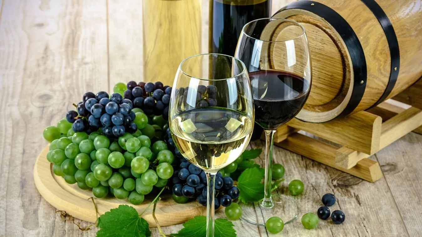 bor, szőlő 
