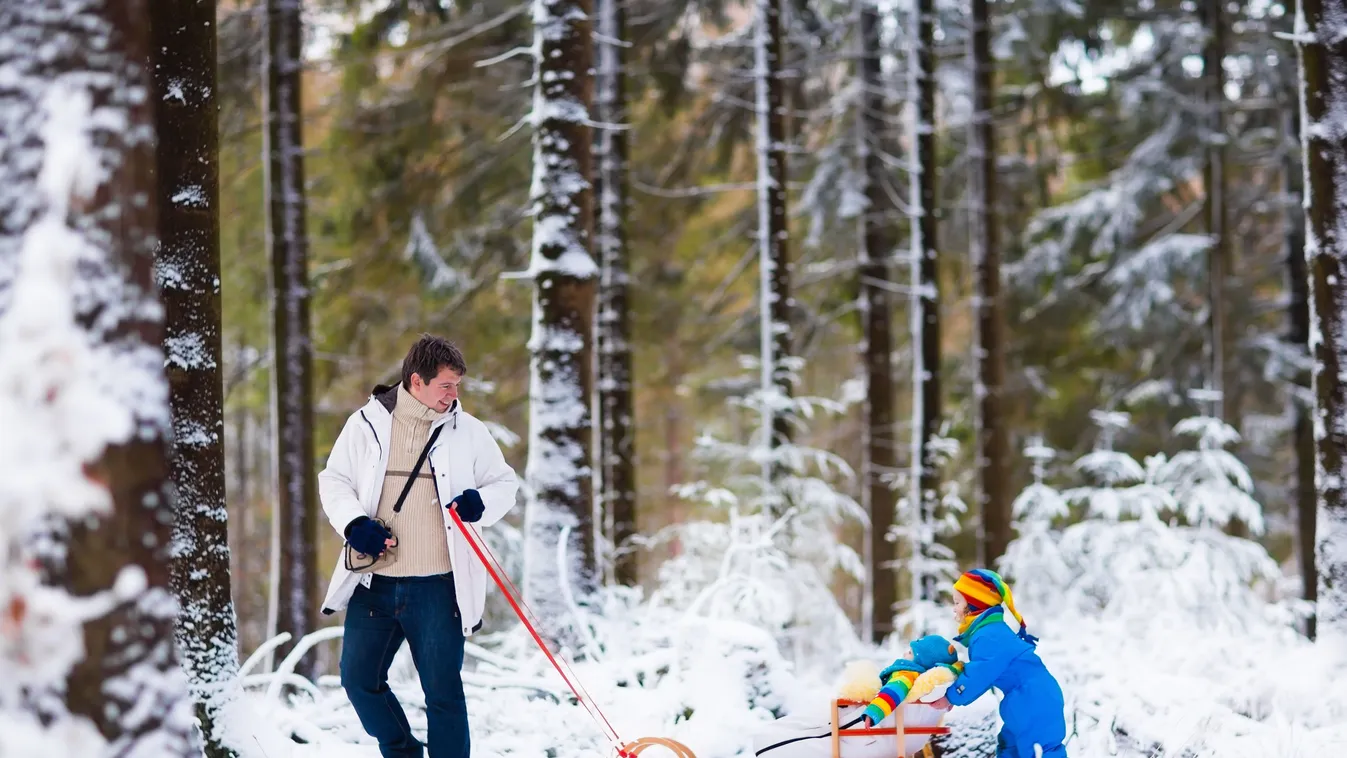 szánkó sport tél hó karácsony ünnep fa  család gyerek 