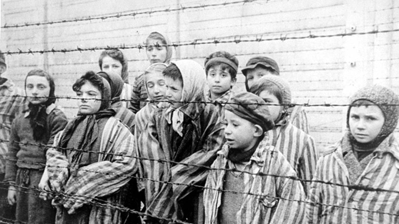 Auschwitz, koncentrációs tábor, náci, zsidó, túlélők 