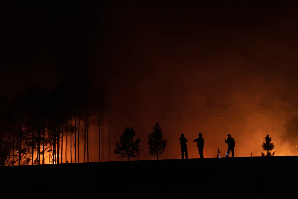 erdőtűz, argentína, argentín, erdő, tűz, lángok, lángol 