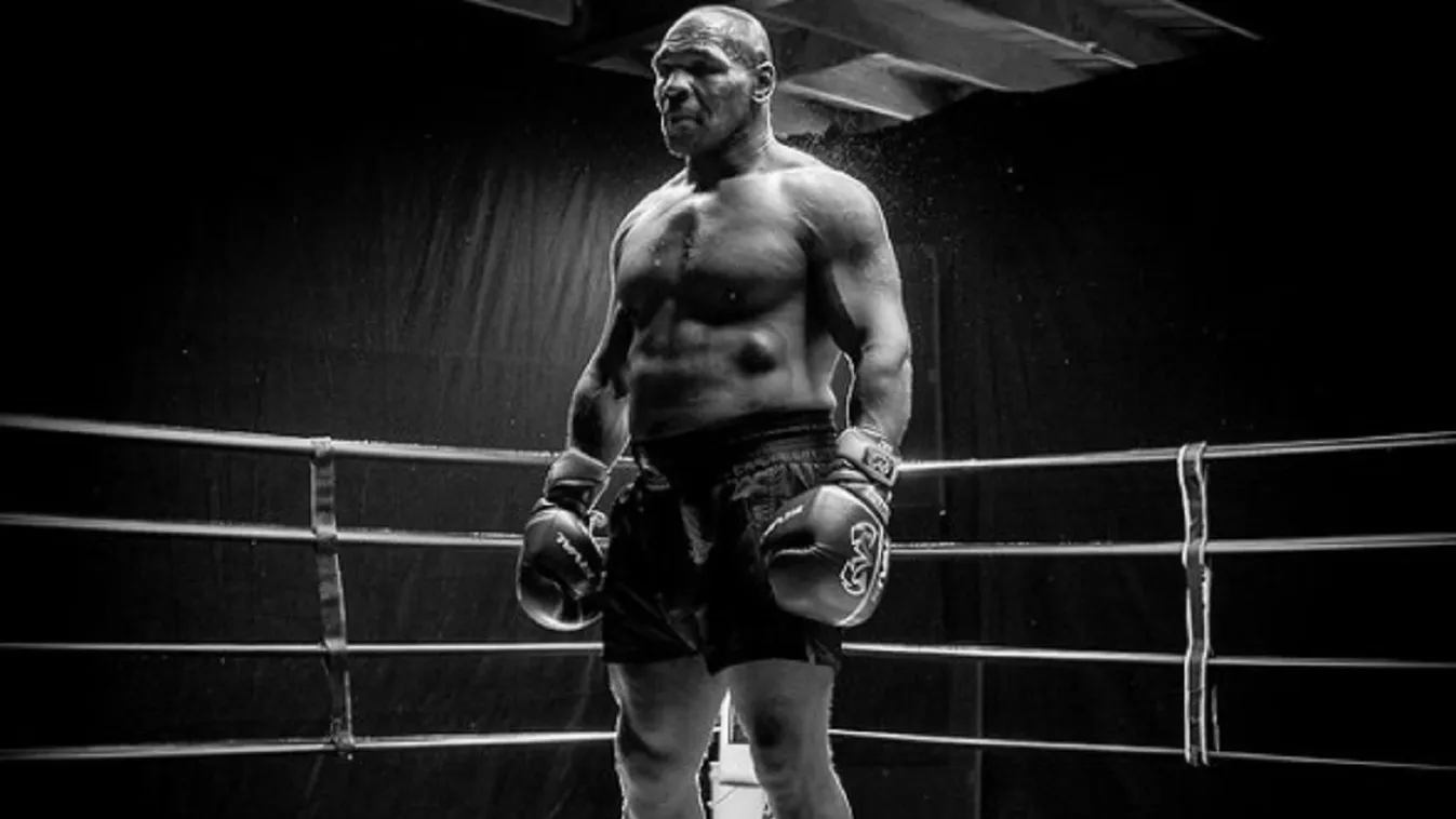 Mike Tyson, boksz 