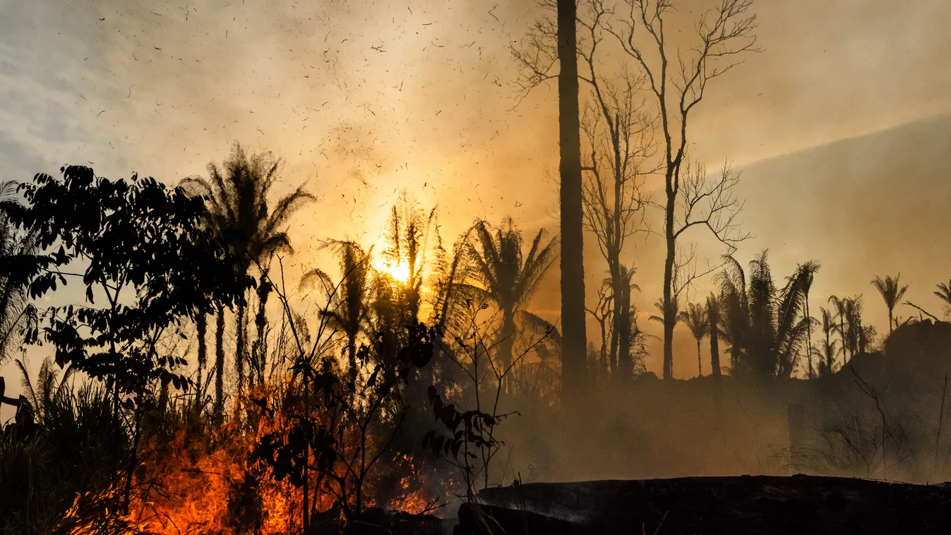 erdőirtás égetés Amazon Forest Fire NurPhoto General News Social Issue FOREST FIRE Amazon Forest Fire ENVIRONMENT Environment Issue FOREST Amazonia Brazil Forest Fire FIre In Amazonia Wildfire VEGETATION HEAT tree outdoor FOG SKY LANDSCAPE 