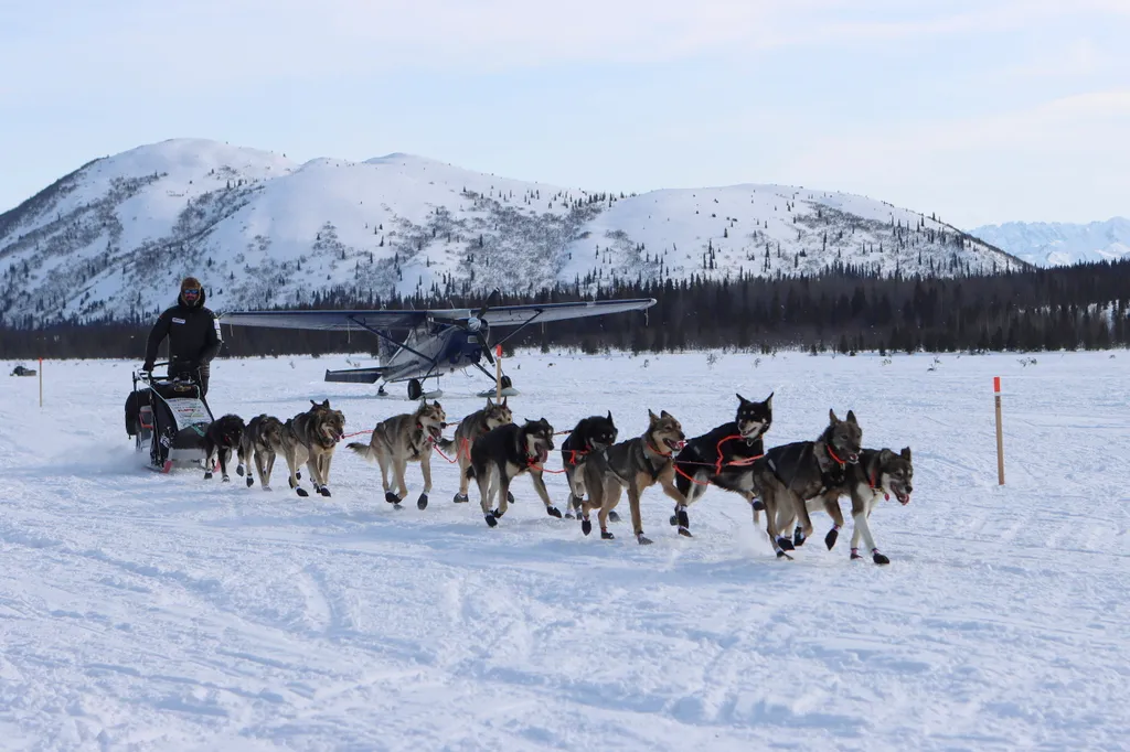 Alaszkai-hegység, 2021. március 9.
A 2019-es bajnok Pete Kaiser csapatával továbbindul az Iditarod amerikai kutyaszánverseny egyik ellenőrző pontjáról az Alaszkai-hegység Rainy-hágóján 2021. március 8-án.
MTI/AP/Anchorage Daily News pool/Zachariah Hughes 