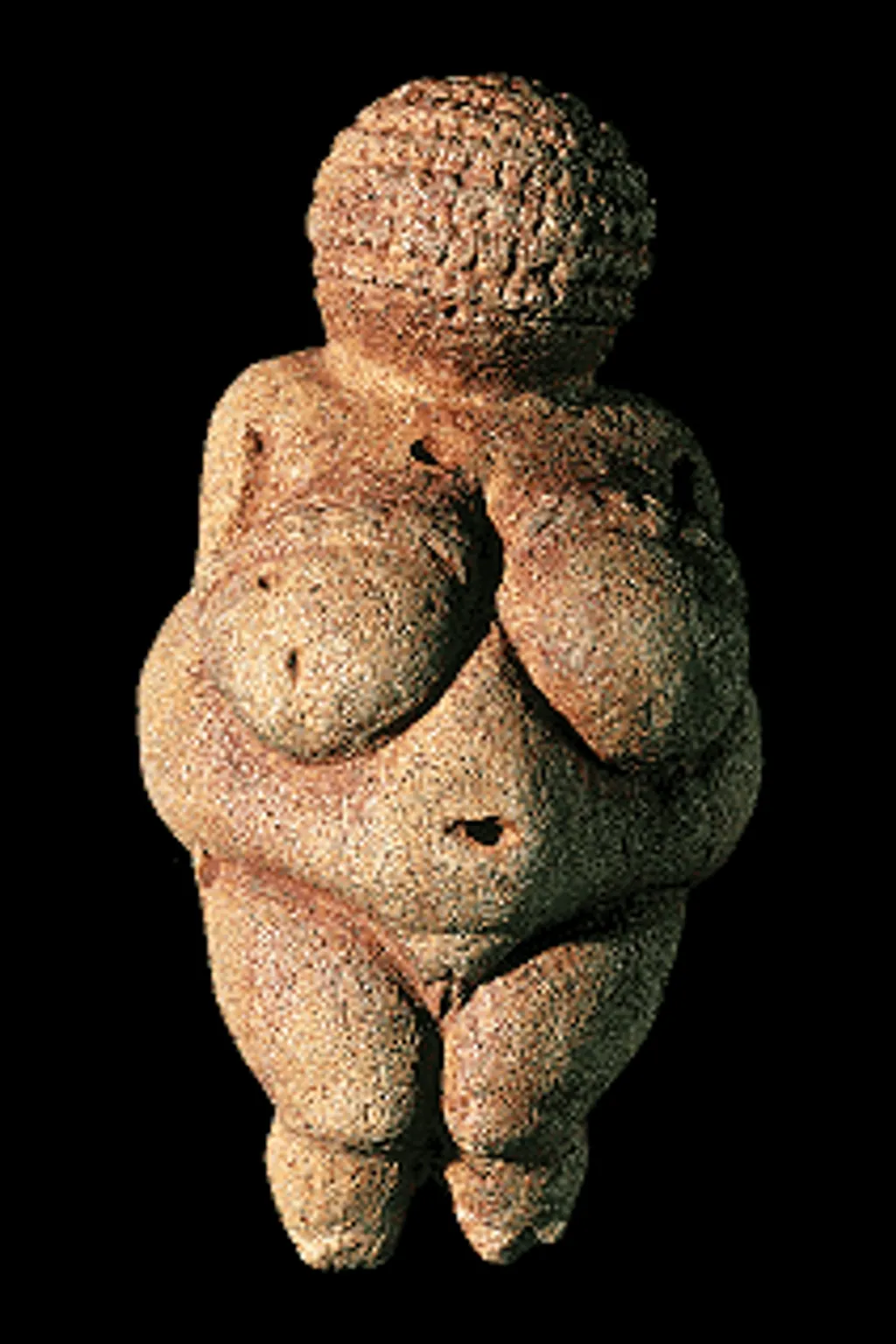 Nina Paley
őskori szobor 
Willendorfi vénusz 