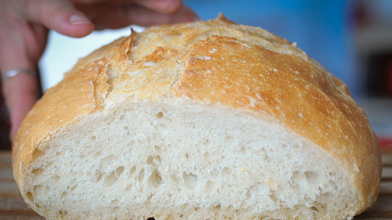 kenyér fehér 