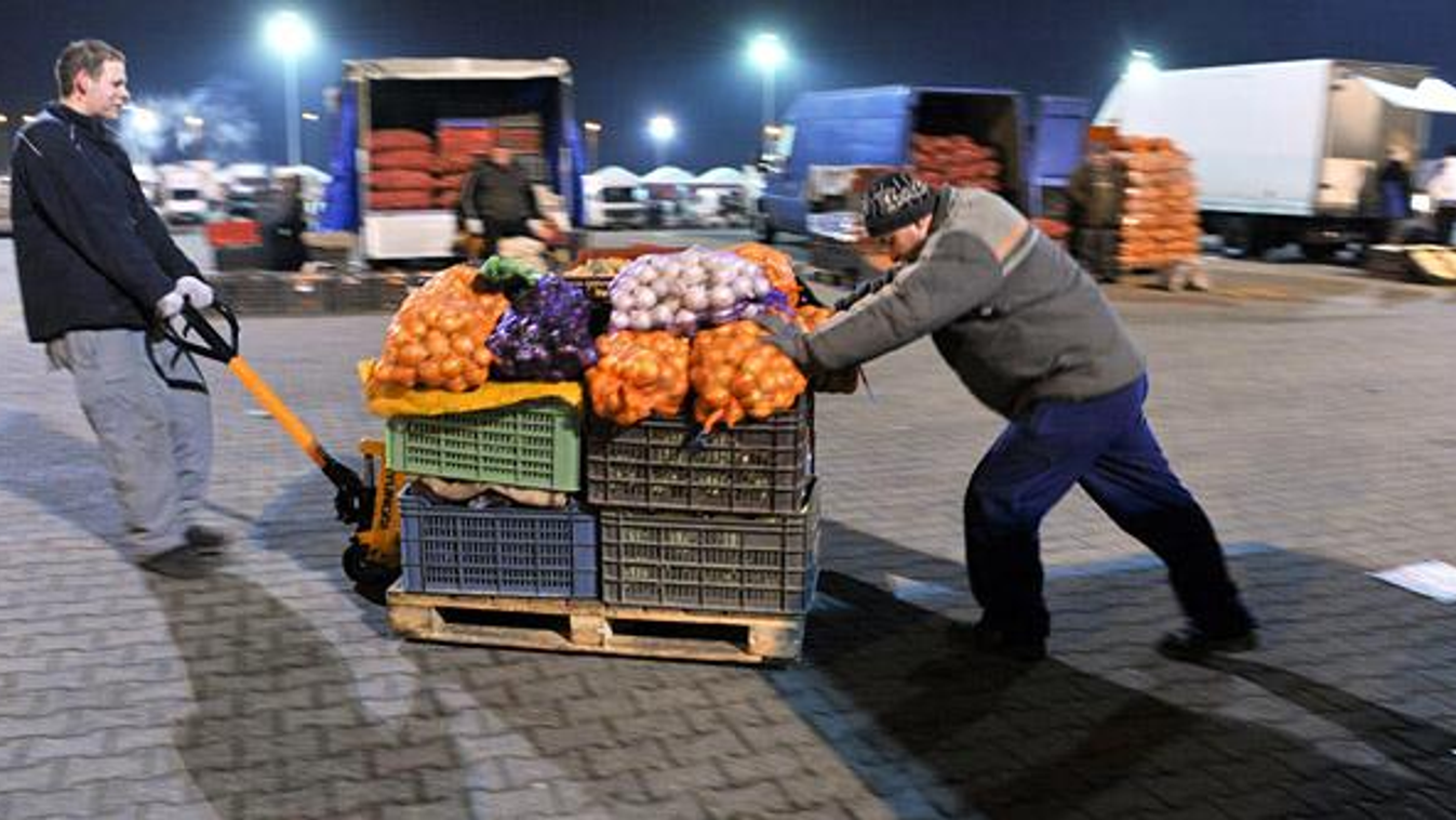 fővárosi közgyűlés, éves prémiumok kifizetése, Kereskedők a megvásárolt zöldséget viszik az autójukhoz a Budapesti Nagybani Piacon 