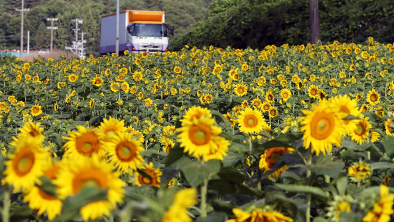 Japán, nukleárias katasztrófa, Fukusima prefektúra, turizmus, vízum