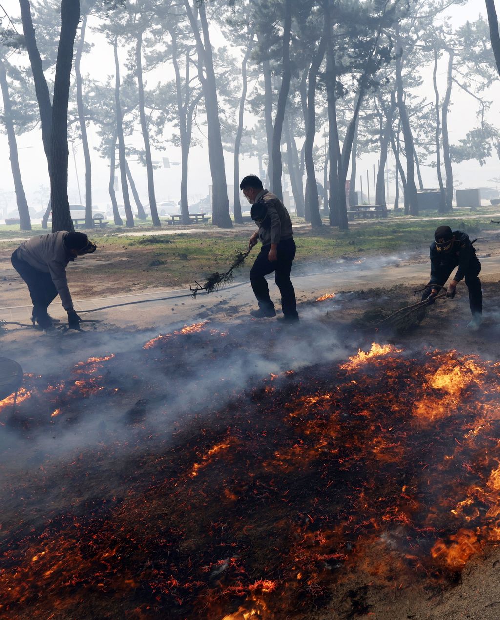 Erdőtűz Dél-Korea tengerpart üdülőhely, Kangnung, 