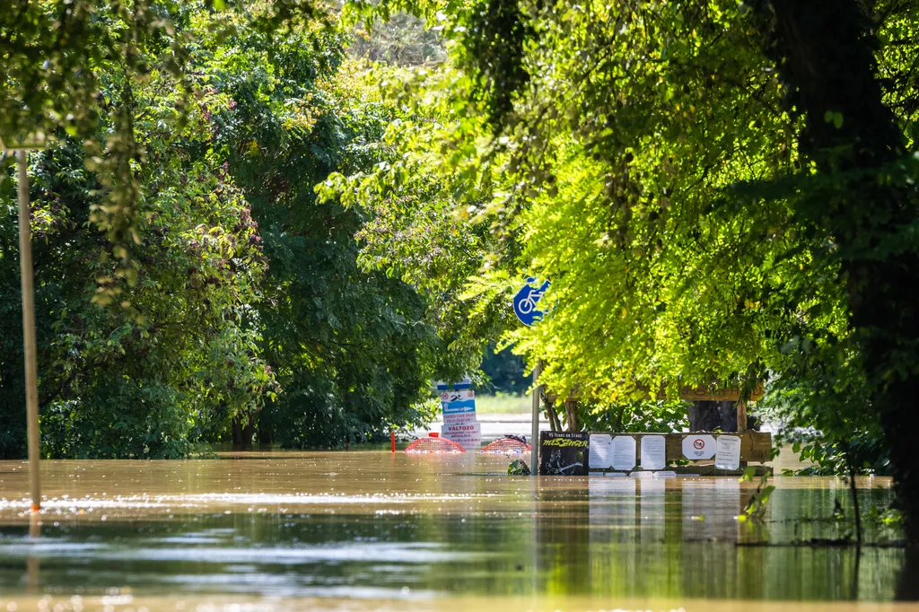 Barcs, Dráva, áradás, 2023.08.08. 