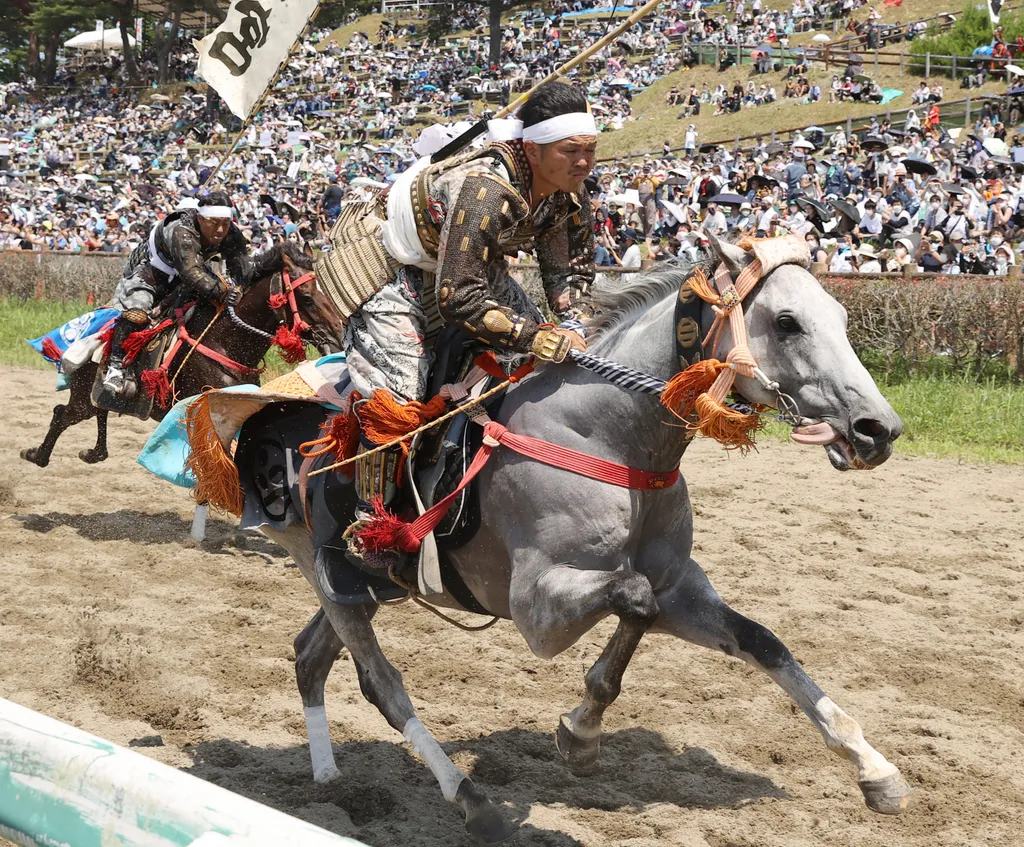 Samuráj lovasok fesztiválja Japánban, fesztivál, Samuráj, Japán 