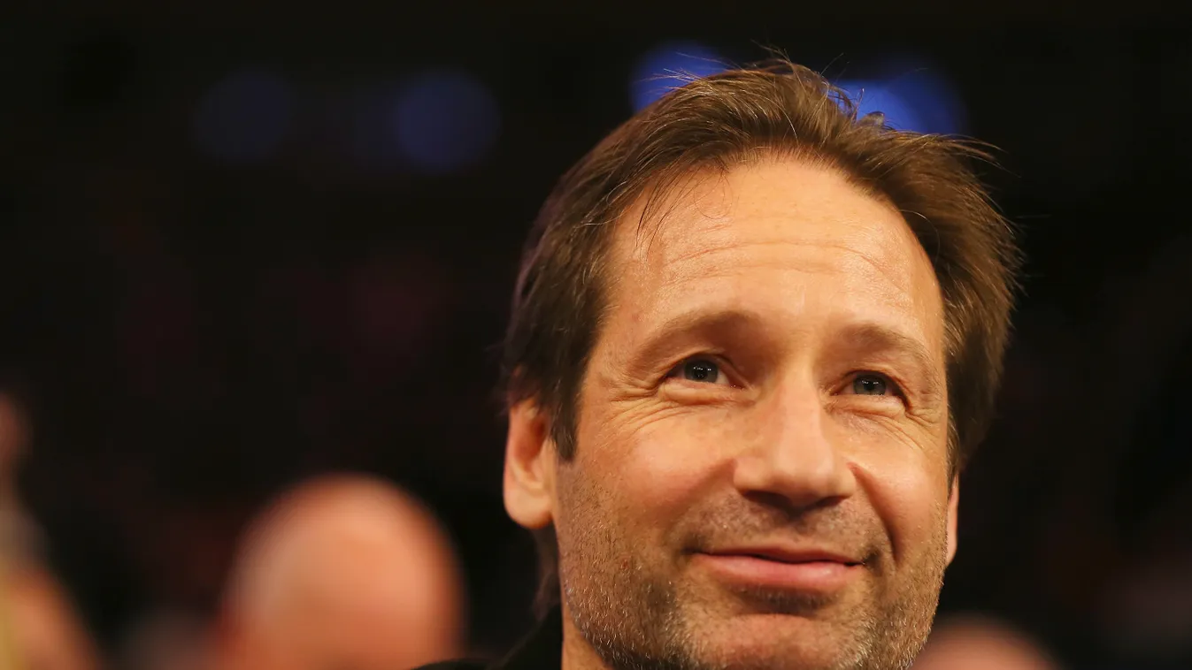 david duchovny 