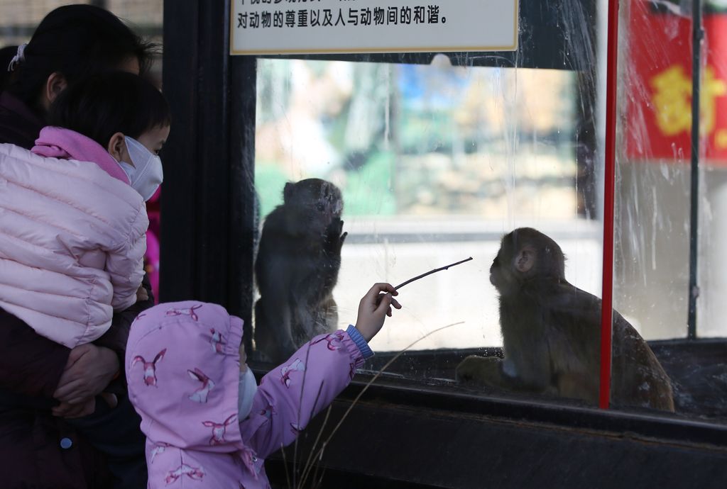 Pekingi állatkert 
