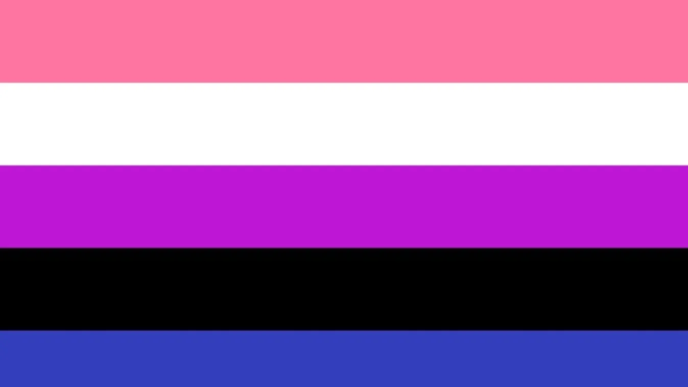 genderfluid zászló lmbtq 