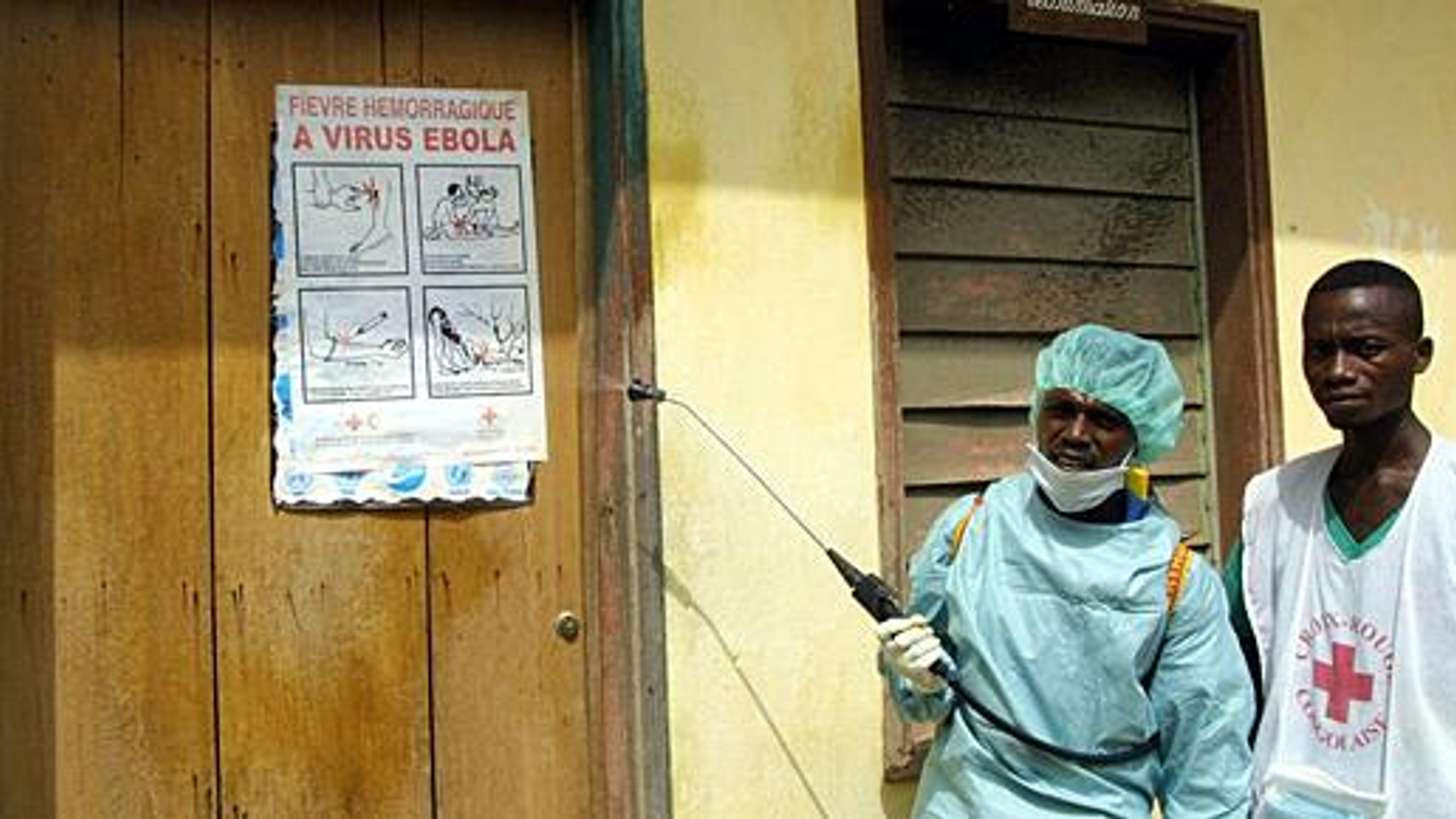 egészségügy, Kongó, ebola, járvány, fertőzés, fertőtlenítés, Afrika 