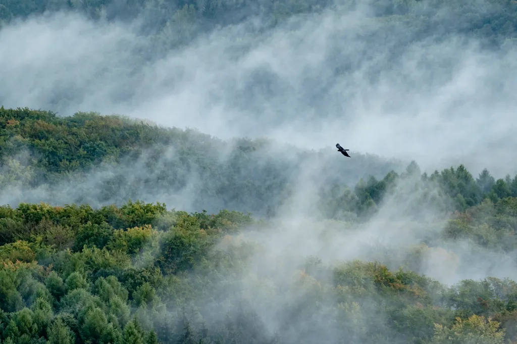 Lélegzetelállító köd Nógrádban, köd, tájkép, természetfotó, időjárás, Nógrád 