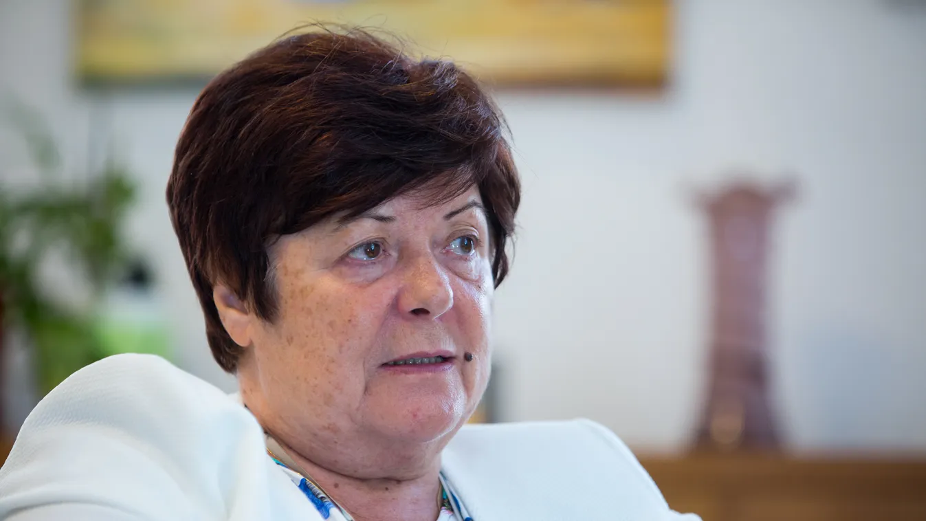 Pálffy Ilona Pálffy Ilona magyar jogász, a Nemzeti Választási Iroda elnöke. 