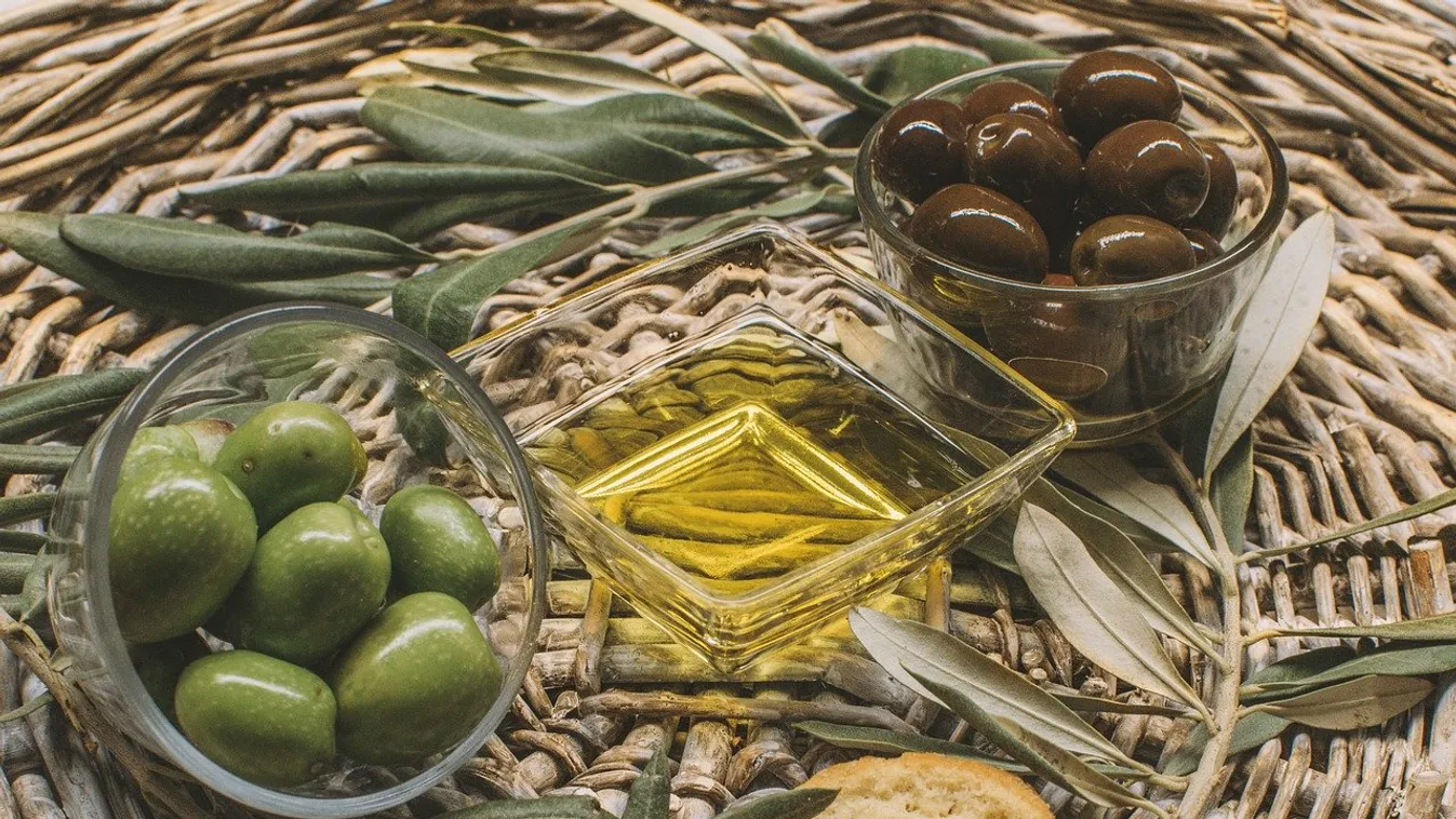 olíva bogyó olívaolaj 