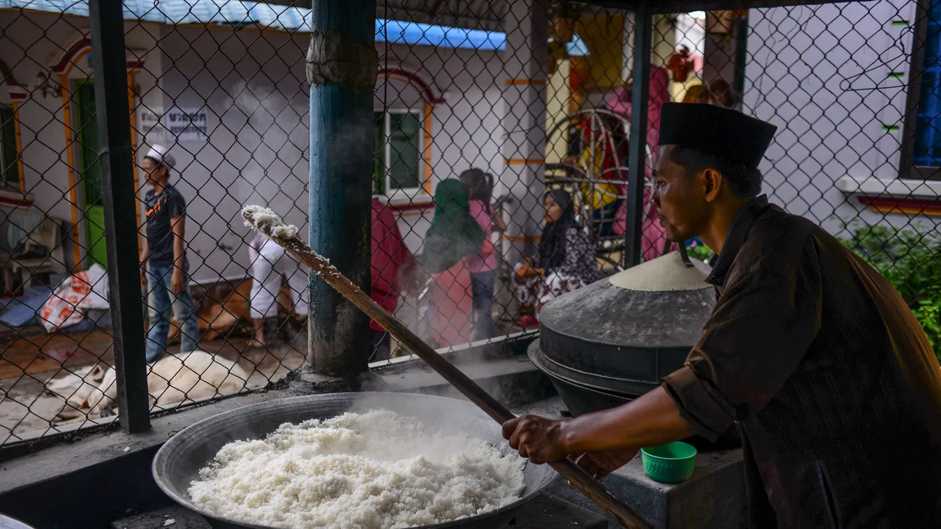 kambodzsai rizstermelés, Kambodzsa, Ázsia, rizs 
