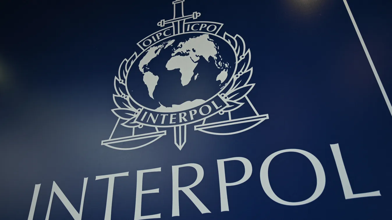 Interpol, logó, Interpol logo, logo, 