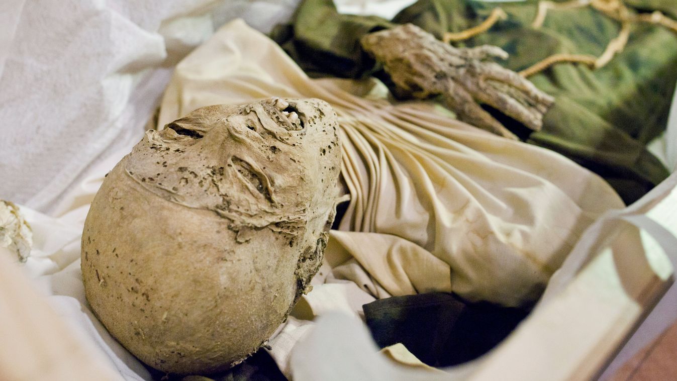 Múmiakicsomagolás a Magyar Természettudományi Múzeumban szívtelen apáca 