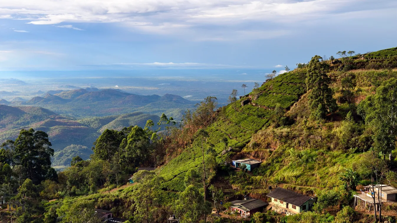 Sri Lanka, házak, teaültetvény 