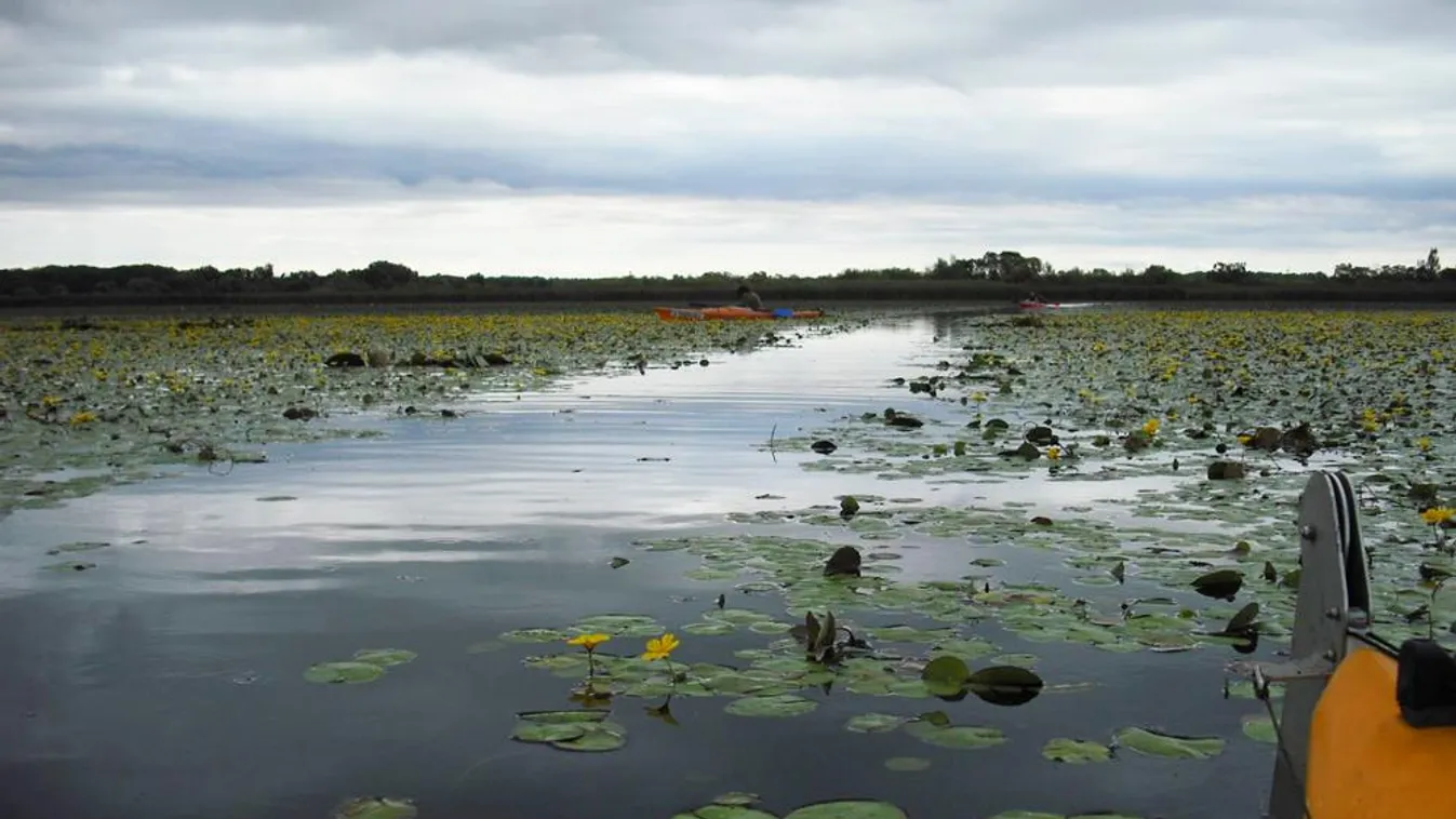 Tisza-tó 