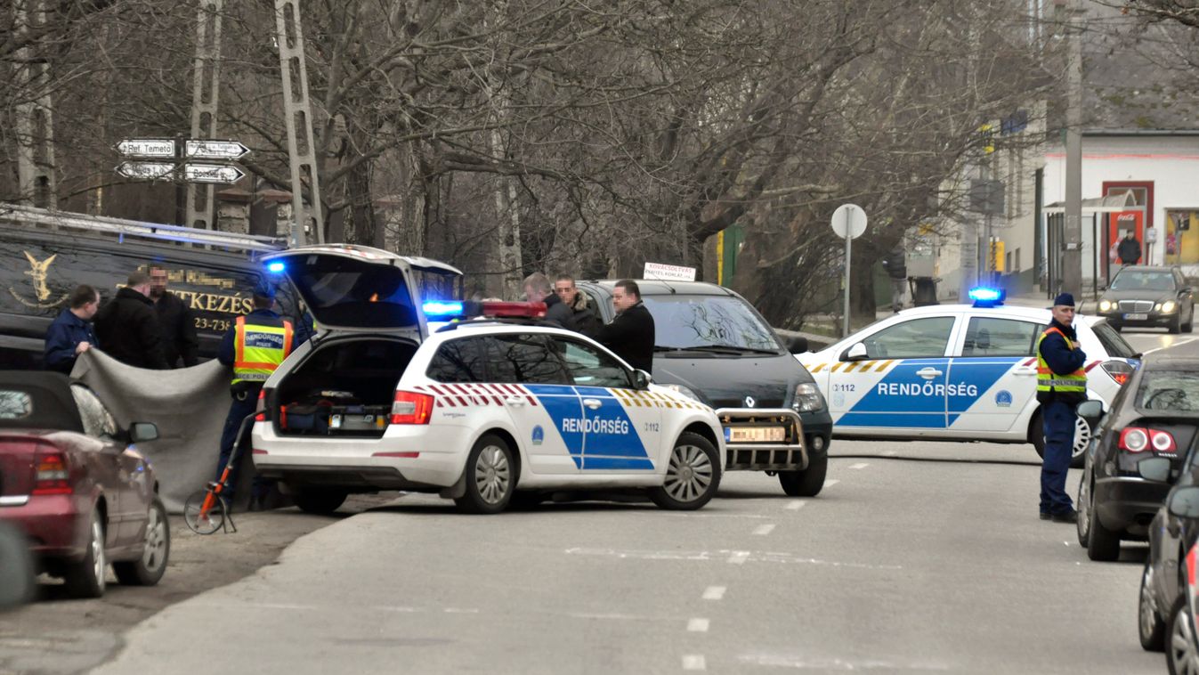 Biatorbágy, 2015. február 28.
Rendőrök helyszínelnek 2015. február 28-án Biatorbágyon, a Szabadság úton, ahol halálra gázolt egy autó egy másik járműből kiszálló sofőrt.
MTI Fotó: Mihádák Zoltán 