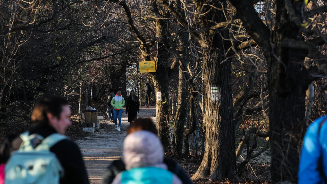 Normafa, Budapest, maszk nélküli emberek 