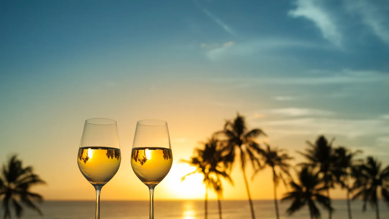 Wine with beautiful sunset Fine Dining Horizon Over Water Photography Themes Dining Photography Wellbeing Two Objects Comfortable Meal Gourmet Celebration Dating Flirting Retirement Anniversary Wineglass Honeymoon Drinking Glass Menu Idyllic Relaxation Ro