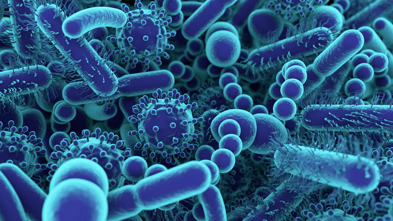 Humán microbiom, bélflóra conceptual illustration microbiome gut bacteria VIRUS microbes microbiota artwork 